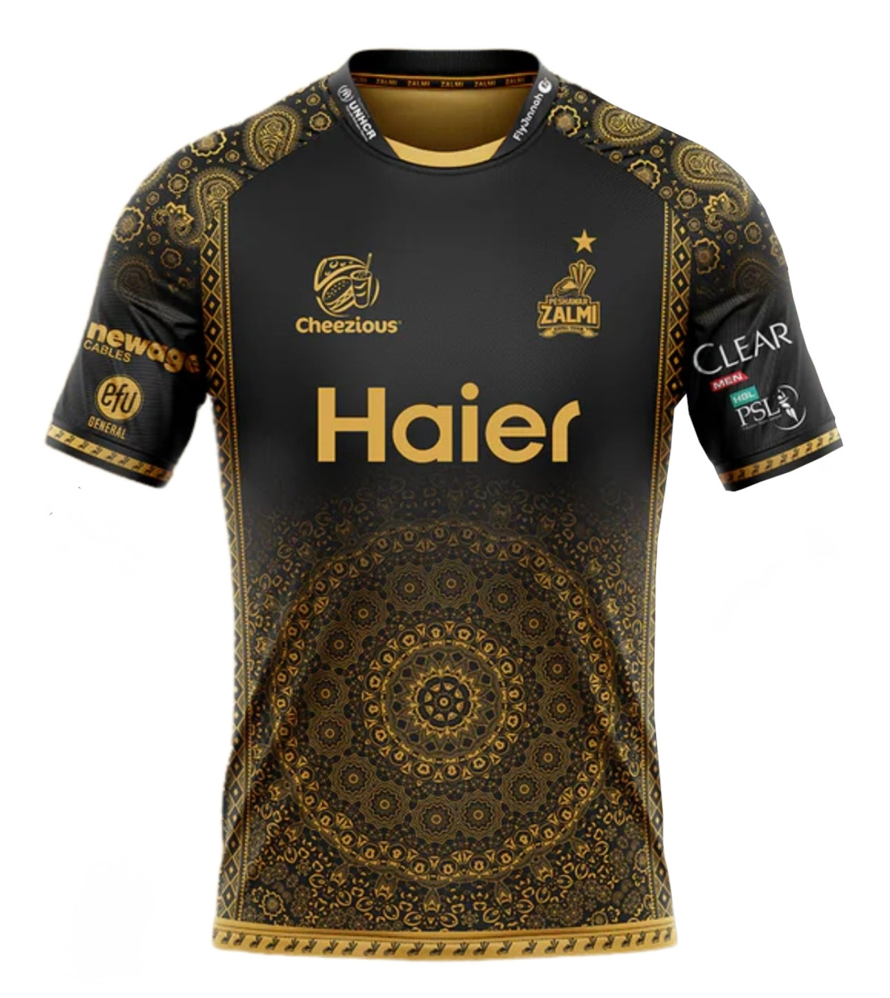 Peshawar Zalmi 2025 jerseys Customizable
