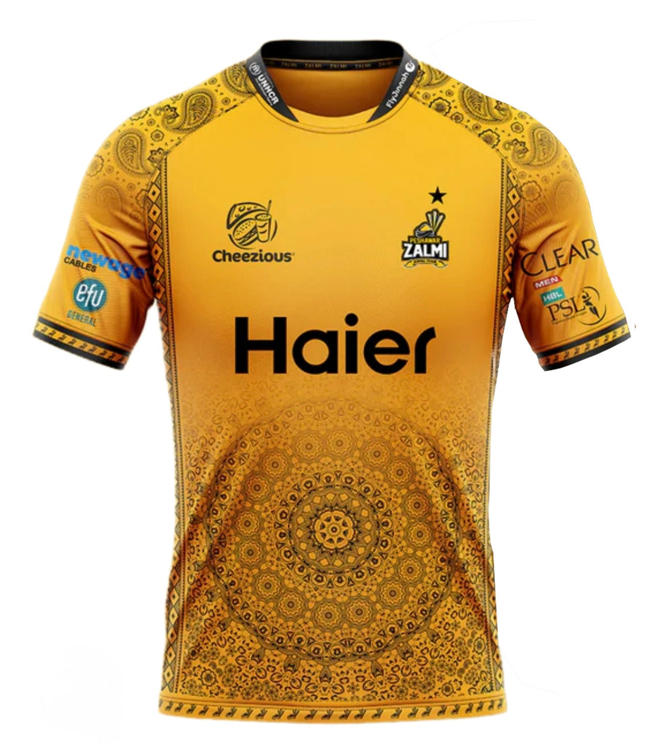 Peshawar Zalmi 2025 jerseys Customizable